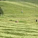 The Paradise 2 Alpes 公寓 莱德萨阿尔卑斯